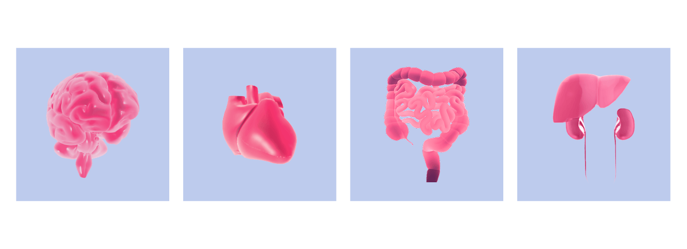 Interactive body systems interface showing gut, hormone, cardio, neural, and toxin pathways
