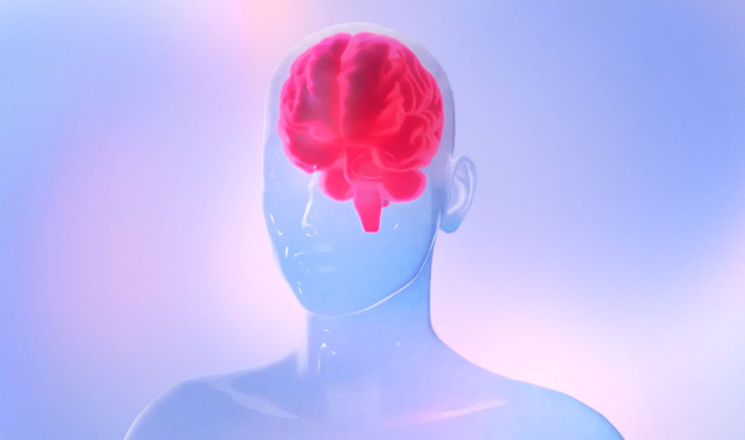 Creating an interactive experience for Vibrant Wellness Summit 2025